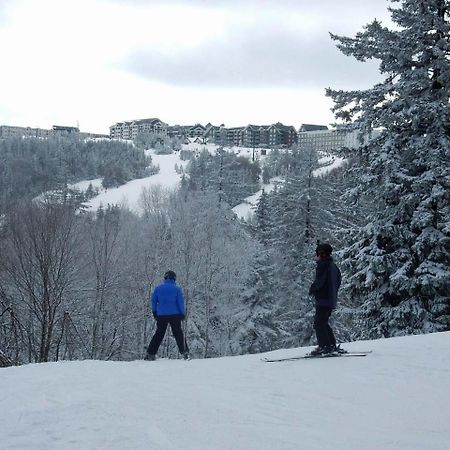Loggers Run #8 Snowshoe Exterior foto